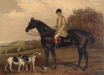 unknow artist Classical hunting fox, Equestrian and Beautiful Horses, 192. oil painting picture